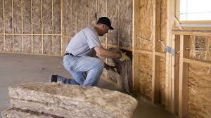 Best Insulation for New Construction  in Windermere, FL